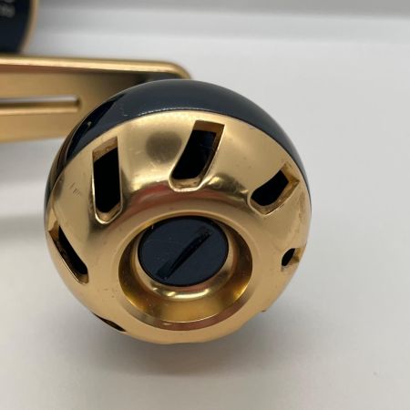  DAIWA ダイワ 両軸リール 21ソルティガ IC 100L 3034695
