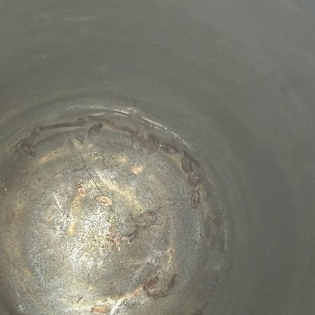  小樽窯 陶磁器 花瓶 19cm