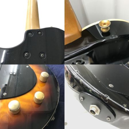 burny バーニー エレキベース  本体のみ アクティブベース MOD  LSB-65/TS 改 TS(Tobacco Sunburst)