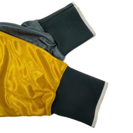 MIZUNO 川崎ヴェルディ GK ユニフォーム