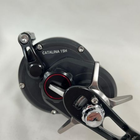 DAIWA ダイワ ベイトリール 19キャタリナ15H 630050