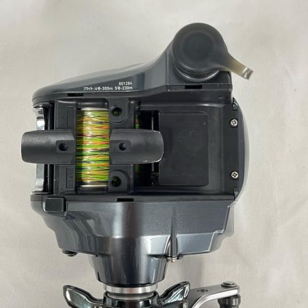 DAIWA ダイワ 14シーボーグ300J-L 38.7km 54h 801284