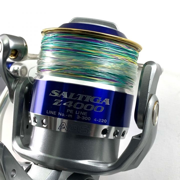 DAIWA ダイワ SALTIGA-Z ソルティガZ 4000 00058930｜中古｜なんでもリサイクルビッグバン