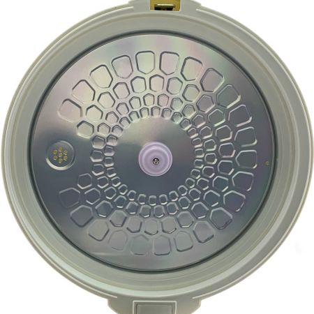  ヒロ・コーポレーション 黒にんにく発酵器 AZ-1000