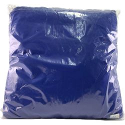 ▽▽ true sleeper トゥルースリーパー 低反発座布団 FN005940 Sランク