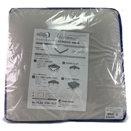  true sleeper トゥルースリーパー 低反発座布団 FN005940