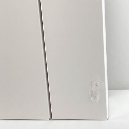  カネボウ リサージ ネックゾーンセラム ネック用美容液 100ml　2本セット 未開封