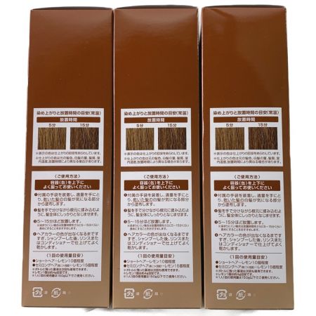   フューチャーラボ ヘアボーテ エクラ ボタニカル エアカラーフォーム  ライトブラウン 150g 3本セット