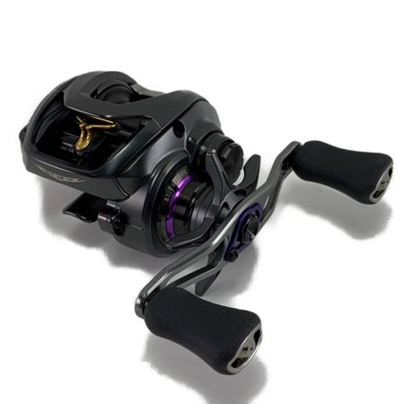  DAIWA ダイワ STEEZ スティーズ SV TW 1012SV-XHL 左ハンドル 00613357