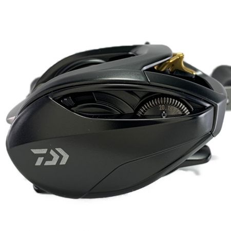  DAIWA ダイワ STEEZ スティーズ SV TW 1012SV-XHL 左ハンドル 00613357