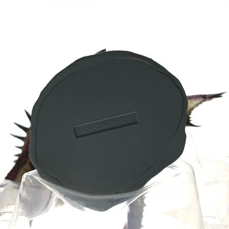  CAPCOM カプコン モンスターハンター　クリエイターズモデル　火竜リオレウス　復刻版