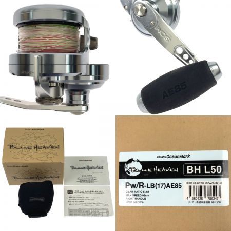  STUDIO OceanMark スタジオオーシャンマーク ブルーヘブン BH-L50 Pw/R-LB（17）AE85 L-50