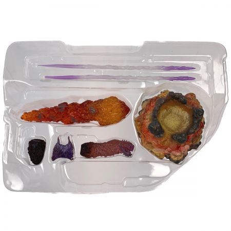   S.H.MonsterArts ゴジラ（2016） 第4形態覚醒Ver.