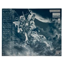 ▽▽  MG 1/100 ガンダムアストレイ アウトフレームD 未組立品 Sランク