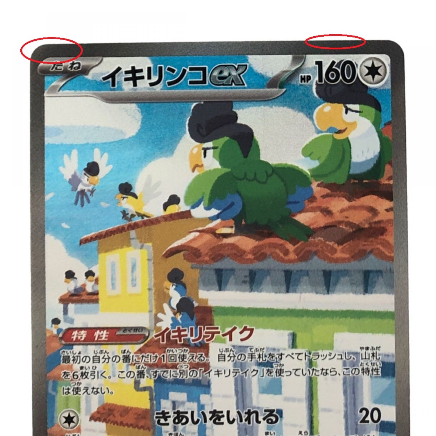 中古】 ポケモンカード イキリンコex 094/071SAR ポケカ Bランク｜総合