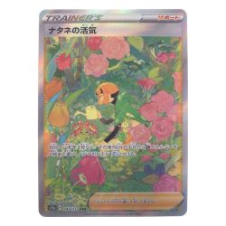 ▽▽  ポケモンカード ナタネの活気 243/172SAR ポケカ Bランク