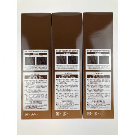  フューチャーラボ ヘアボーテ エクラ ボタニカル エアカラーフォーム ダークブラウン 150g 3本セット 未開封