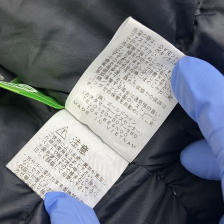  THE NORTH FACE ザノースフェイス ゴアテックス マウンテン ダウンジャケット L  ND91930 ブラウン