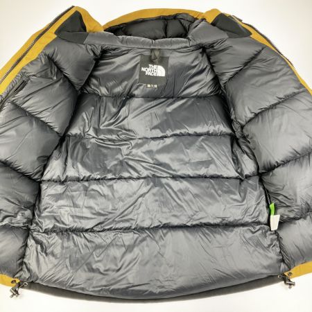  THE NORTH FACE ザノースフェイス ゴアテックス マウンテン ダウンジャケット L  ND91930 ブラウン