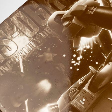  BANDAI バンダイ MG 1/100 MS-06R-2 ギャビー・ハザード専用ザクII  未組立品