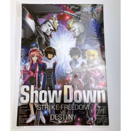   MG 1/100 ストライクフリーダムガンダム フルバーストモード(スペシャルバージョン)  未組立品