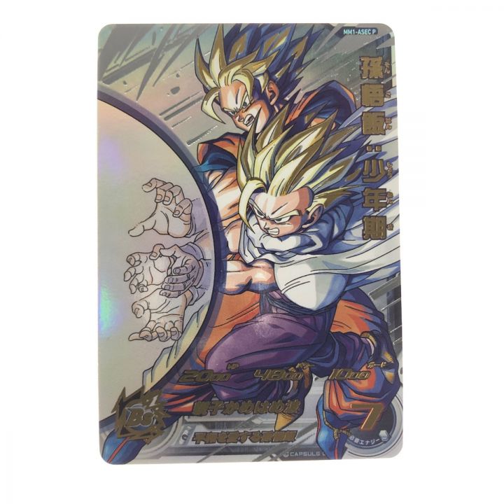 ドラゴンボールヒーローズ 孫悟飯:少年期 MM1-ASEC SPpsa10