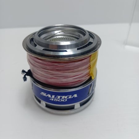 DAIWA ダイワ 10ソルティガ　4500-5000サイズ　4530PEスプール