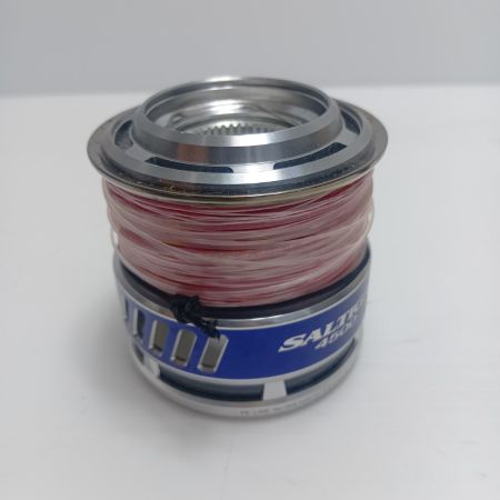 DAIWA ダイワ 10ソルティガ　4500-5000サイズ　4530PEスプール