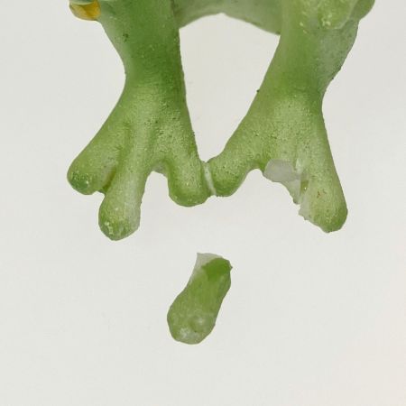  ダイカイ  Copeau カエルのコポー お風呂 2点  他1点