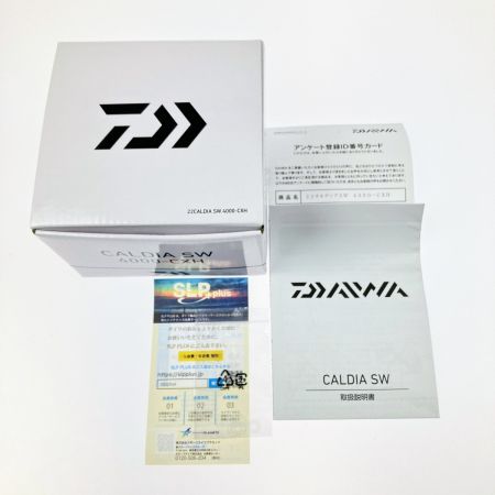  DAIWA ダイワ 22カルディア SW 4000-CXH 00065048
