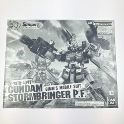 ▽▽  MG 1/100 ガンダムストームブリンガー P.F. 未組立品 Sランク