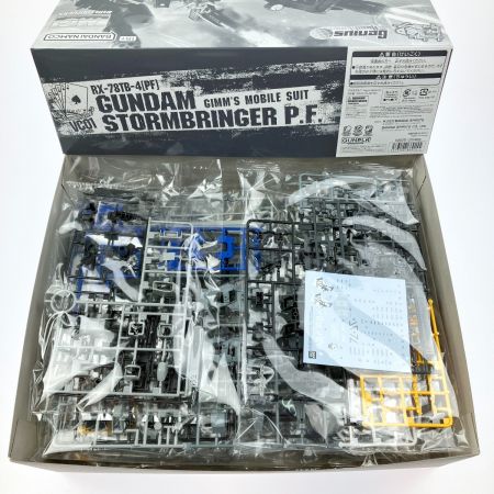   MG 1/100 ガンダムストームブリンガー P.F. 未組立品