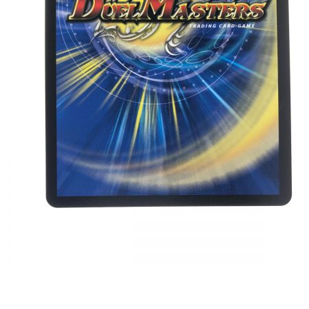   ポケモンカード 流星のガイアッシュ・カイザー 24EX1SRPR4/PR5 デュエマ