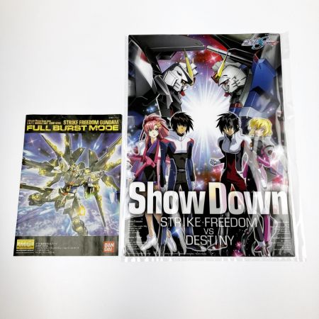  MG 1/100 ストライクフリーダムガンダム フルバーストモード(スペシャルバージョン)  未組立品