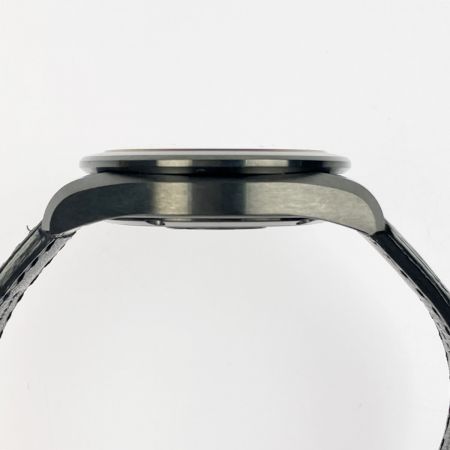  CITIZEN ザ・シチズン エコ・ドライブ限定モデル ブラックイーグル クロノマスター ワニ革 AQ4054-01E