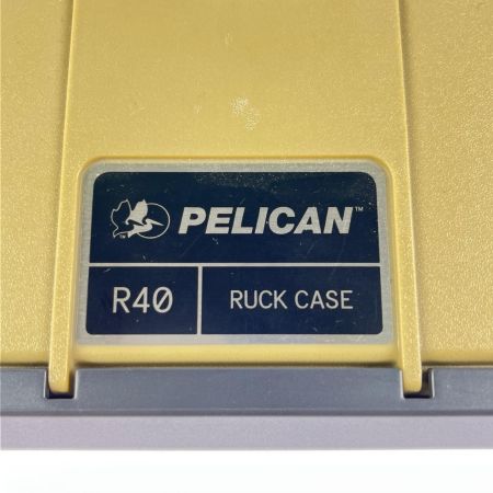  Pelikan ペリカン ラックケース R40 0512-333TN タン(ベージュ)