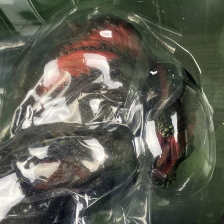  カプコン フィギュアビルダー クリエイターズモデル 恐暴竜 イビルジョー 未開封品