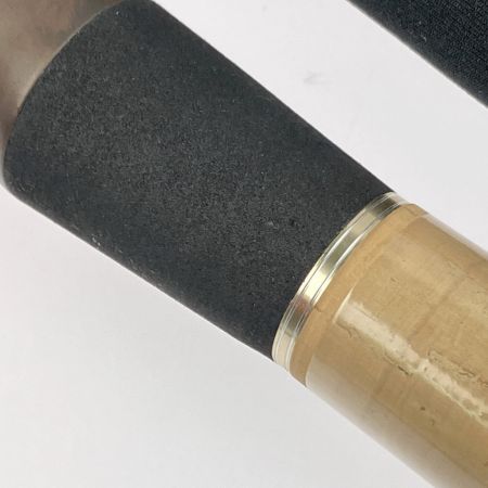  Fishman フィッシュマン ビームス ブランシエラ 4.8UL