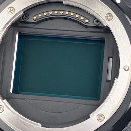  Nikon ニコン Ｚ6 ボディ 互換バッテリー・SmallRigブラケット付属 充電器欠品