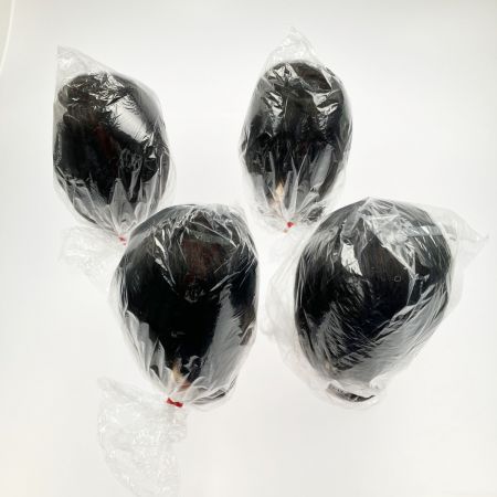   美容師 国家試験 実技試験用 カットウィッグ 24-12-13 4体セット 未使用品