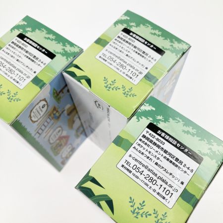   ポケモン みんなあつまれ！ 森のアスレチック 6箱セット ポケットモンスター 未開封品