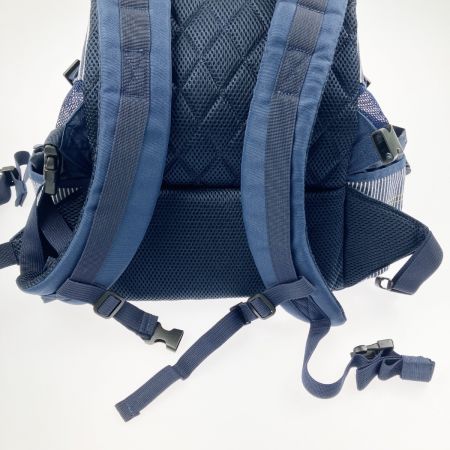  LEE リ ヒッコリー ペット用 2WAY キャリーバッグ 底板付リュック 超小型犬