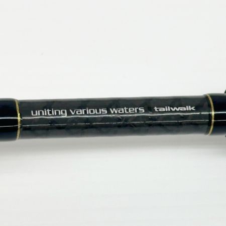 tailwalk テイルウォーク ロッド ノーザンロックⅦ C80XH 本体のみ 釣り フィッシング 16683