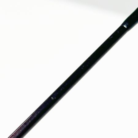 tailwalk テイルウォーク ロッド ノーザンロックⅦ C80XH 本体のみ 釣り フィッシング 16683