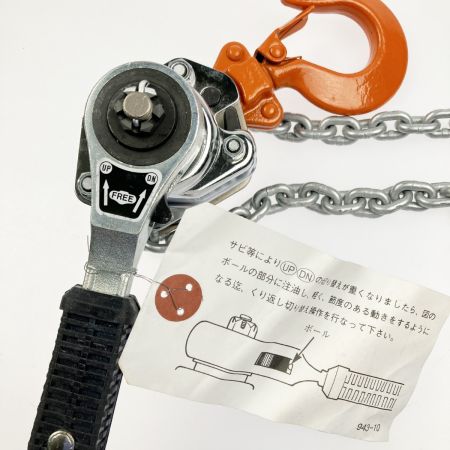  ZOJIRUSHI CORPORATION 象印 ELEPHANT チェーンレバーホイスト 250kg 早送り装置付き YⅡ-25