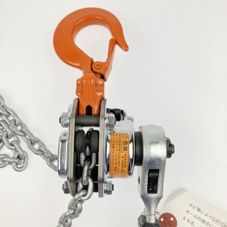  ZOJIRUSHI CORPORATION 象印 ELEPHANT チェーンレバーホイスト 250kg 早送り装置付き YⅡ-25