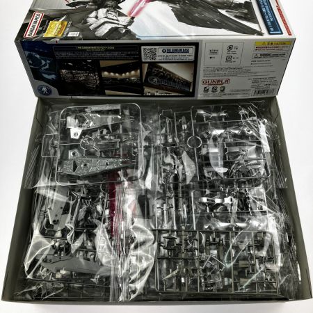  バンダイスピリッツ MG 1/100 フリーダムガンダム Ver.2.0［シルバーコーティング］ 未組立品