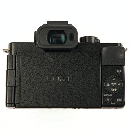  Panasonic パナソニック ミラーレス一眼 LUMIX ダブルズームレンズキット G100DW-K