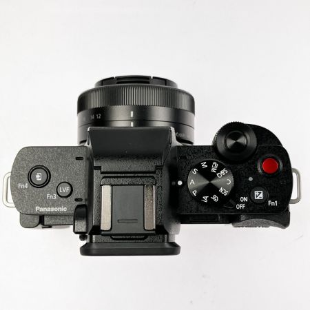  Panasonic パナソニック ミラーレス一眼 LUMIX ダブルズームレンズキット G100DW-K