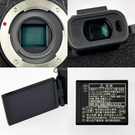  Panasonic パナソニック ミラーレス一眼 LUMIX ダブルズームレンズキット G100DW-K